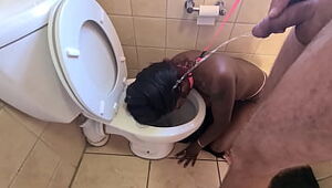 Desi tramp gets ambled like a dog to the rest room to get her face urinated on and fellates man meat