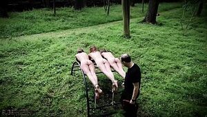 3 nubile gimps penalty and abased in raunchy sadism & masochism